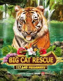 ENRT - Big Cat Rescue Megaways