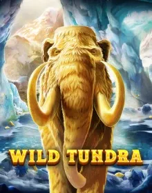 ENRT - Wild Tundra