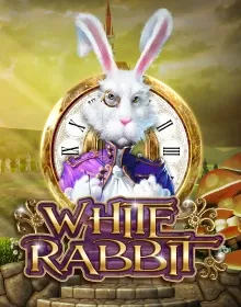 ENRT - White Rabbit