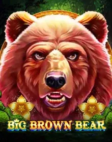 Online Slot Games - Big Brown Bear