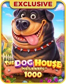 Online Slot Games - The Dog House Megaways 1000