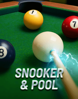 Popular Casino Games - Snooker & Pool
