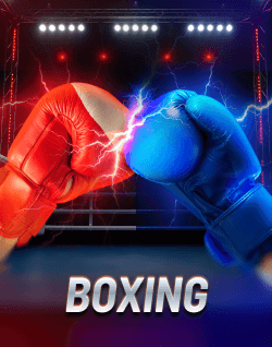 Best Online Casino Games - Boxing