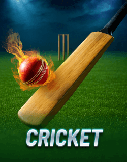 Popular Casino Games - Cricket
