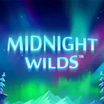 Popular Casino Games - Midnight Wilds