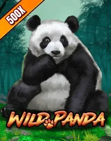 Online Slot Games - Wild Panda