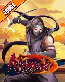 Online Slot Games - Ninja