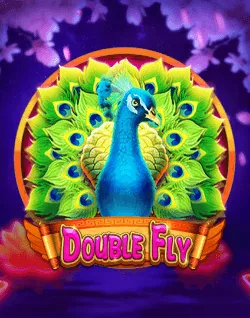 Online Slot Games - Double Fly