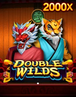 Online Slot Games - Double Wilds