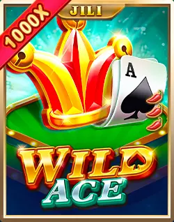 Online Slot Games - Wild Ace