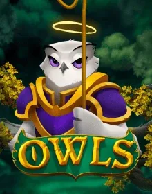 ENRT - Owls