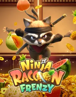 Online Slot Games - Ninja Racoon Frenzy
