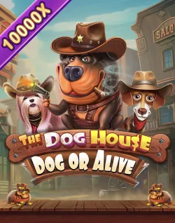 Online Slot Games - The Dog House  – Dog Or Alive